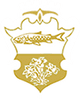 Icon Design